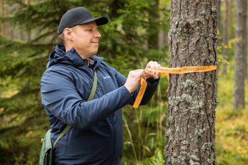 Metsätilat.fi asiantuntijaesittelyt – Esa Viitarinne